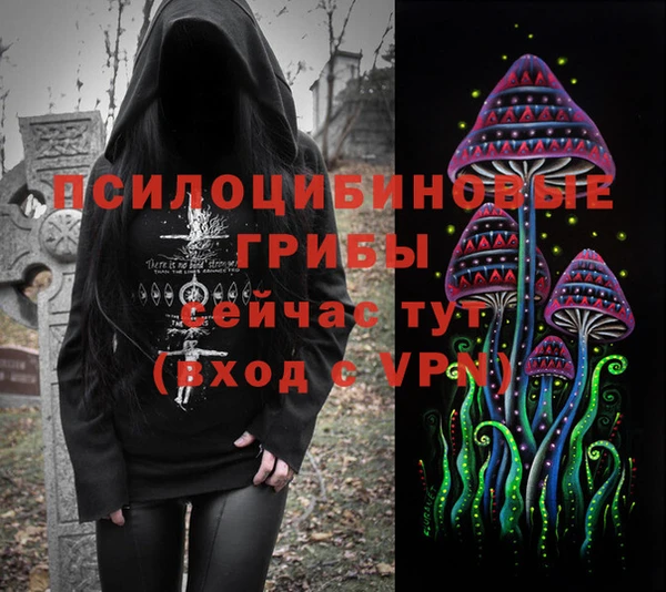 ПСИЛОЦИБИНОВЫЕ ГРИБЫ Тихорецк