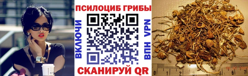 Галлюциногенные грибы Cubensis  мега рабочий сайт  Суздаль  цена наркотик 